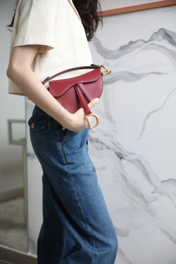 Christian Dior Saddle Bag 21 cm