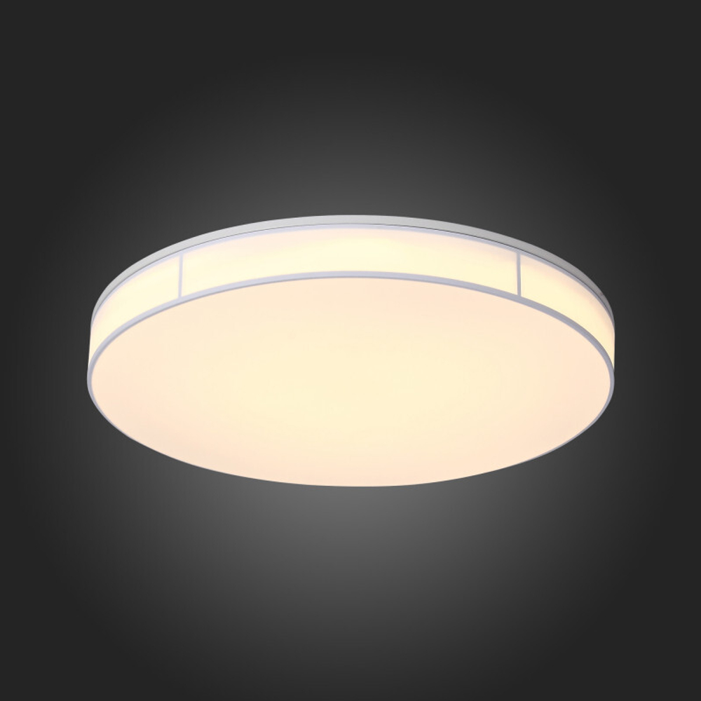 Накладной светильник ST-Luce SL417.512.01