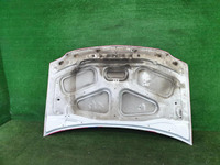 Капот Lada Largus 1 (2012-2021)