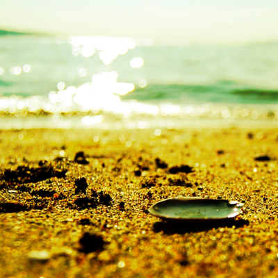 Жизнь в Единстве 3 месяц