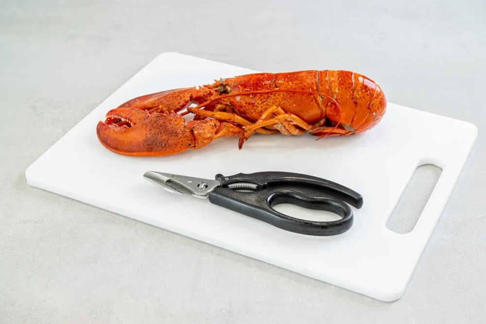 MasterClass Ножницы для морепродуктов 18,5 см