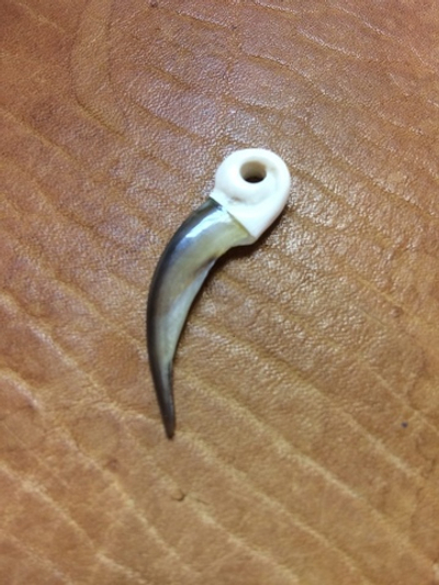 Подвеска "Коготь барсука", бивень мамонта