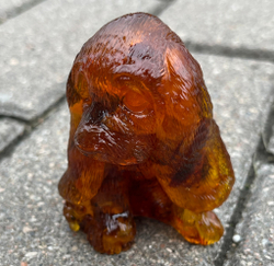 Щенок Бассет-хаунд