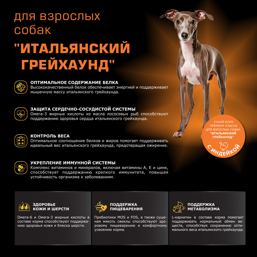 Корм сухой для взрослых собак породы Итальянский грейхаунд, с индейкой, 800 гр, QUATTRO