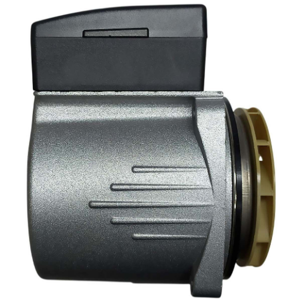 Двигатель насоса тип Grundfos, DPR 15-6 на Protherm Lynx, Ягуар, Леопард 0020119604
