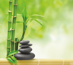 Коллекция Цветы