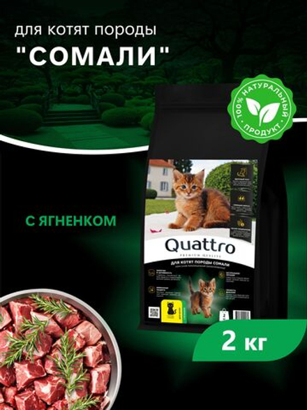 Корм сухой для котят породы Сомали, с ягненком, 2кг, QUATTRO
