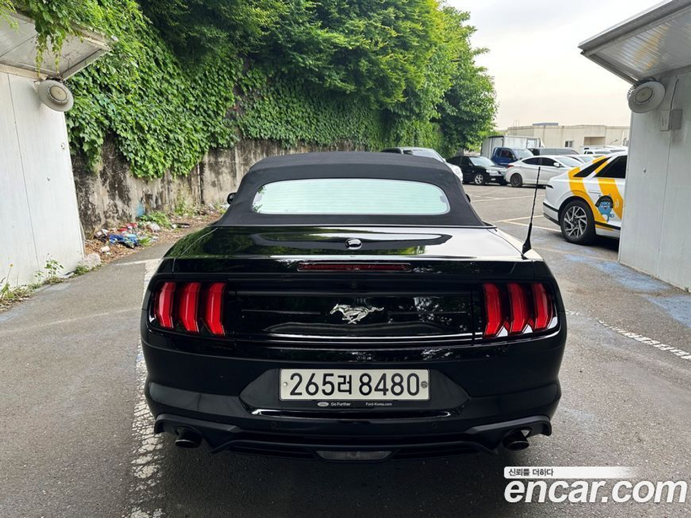Ford Mustang Convertible (01.2020)