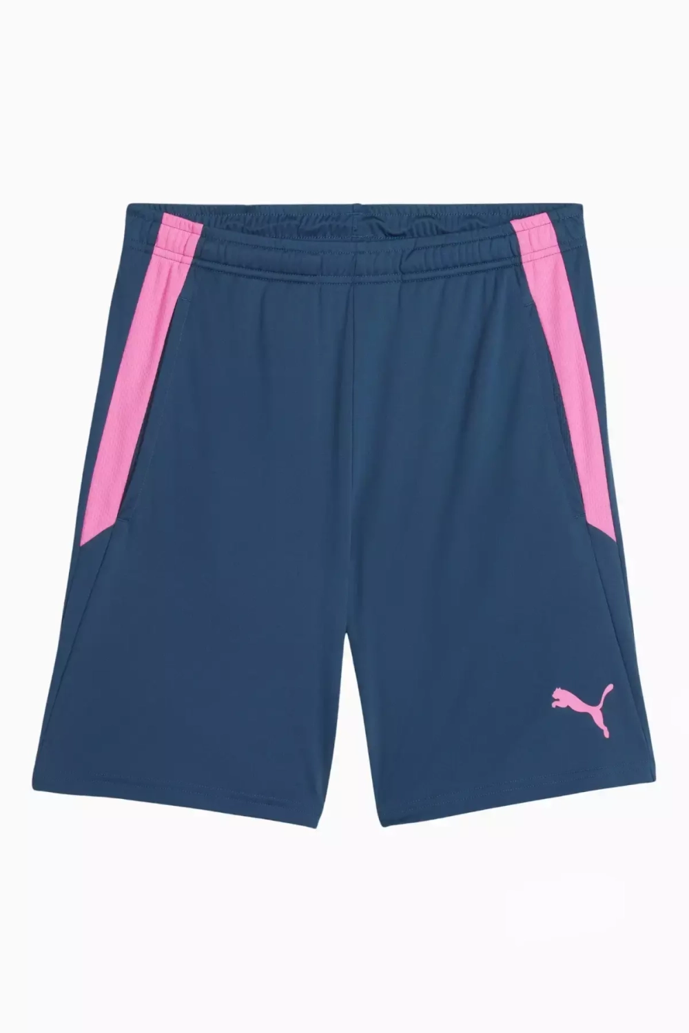 Шорты Puma teamLIGA Training 2