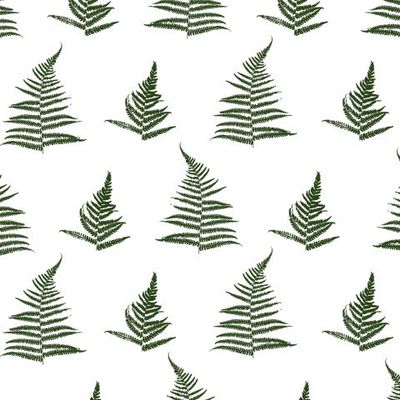 Паттерн с папоротником