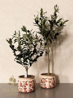 Олива в кашпо 15x15x70см