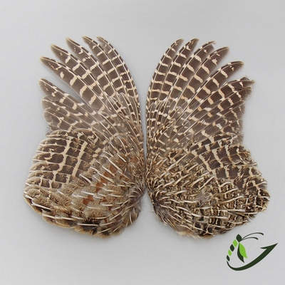 Крылья куропатки Partridge Wings (1 пара)