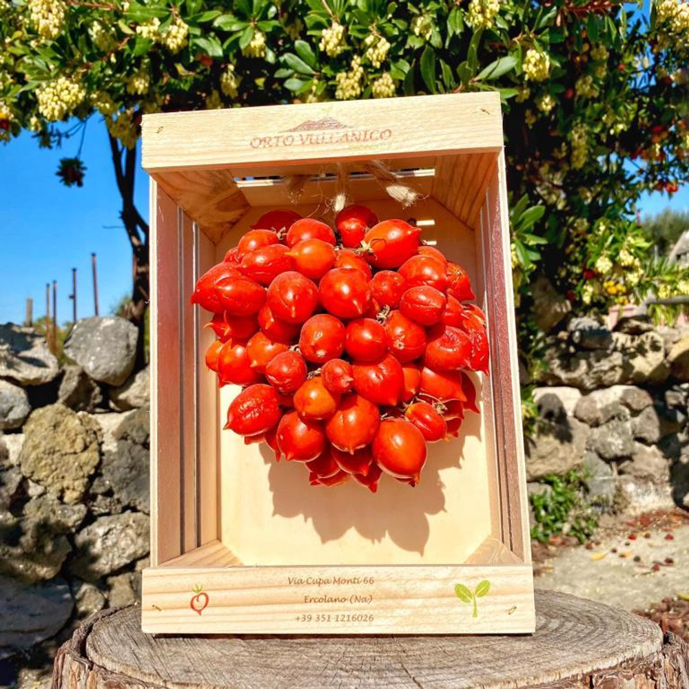 Помидоры - Pomodorino del Piennolo del Vesuvio - Черри Пьенноло Дель Везувио