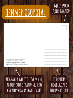 Моя Россия. Осень (выпуск №5, 2025)