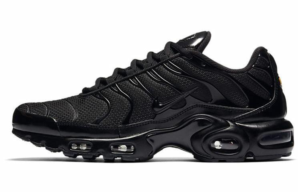 Кроссовки Nike Air Max Plus