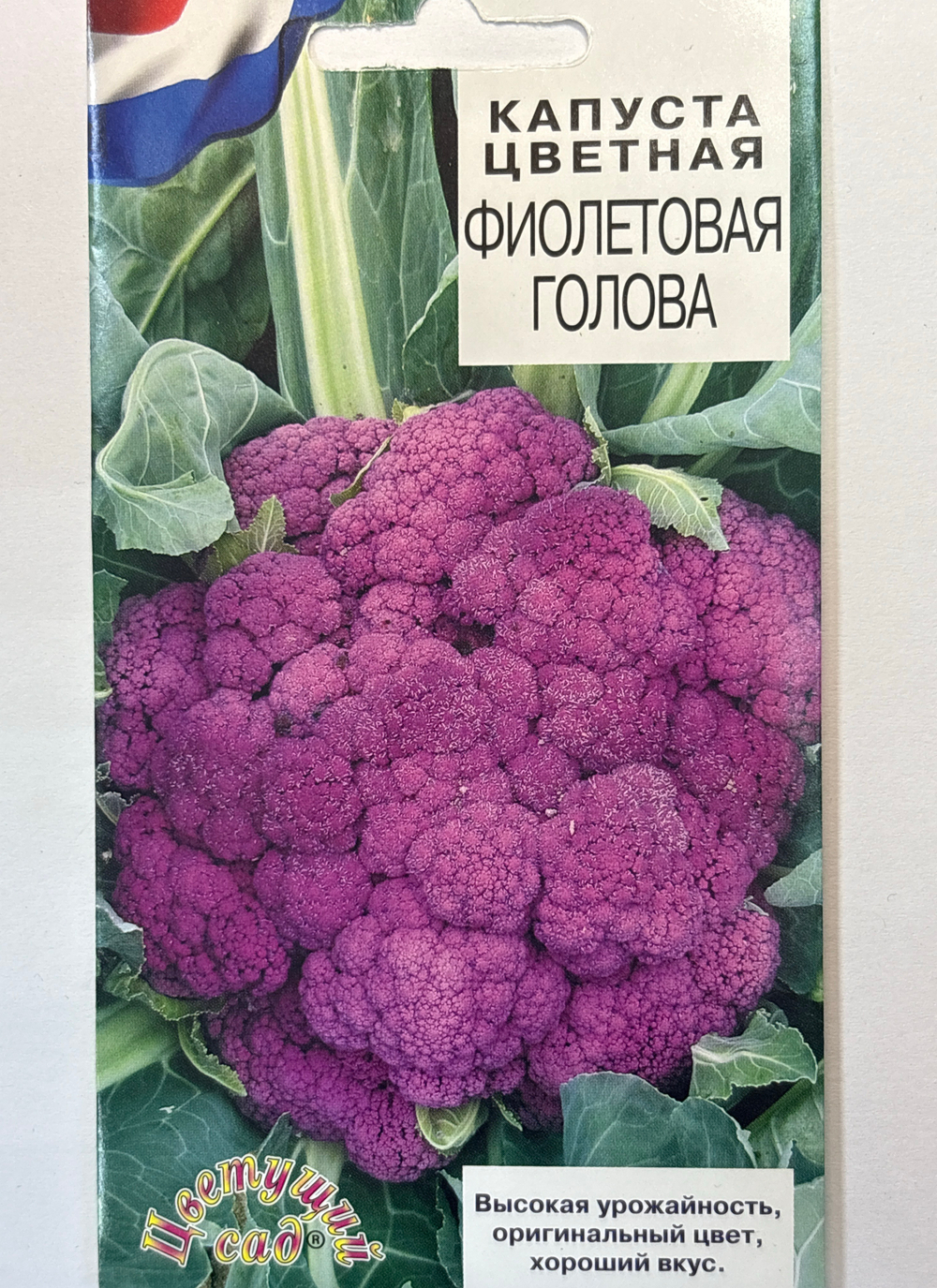 Капуста  цв. Фиолетовая голова 0,3 г СМК-73