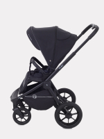 Коляска 2 в 1 Rant Flex 2025 RA076