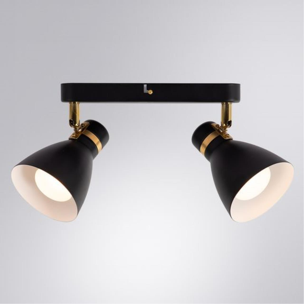 Потолочный светильник Arte Lamp FAFNIR A5047PL-2BK