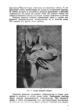 Теория и техника дрессировки служебных собак | Всеволод Васильевич Языков