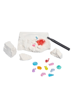 Раскопки Морские артефакты и динозавры