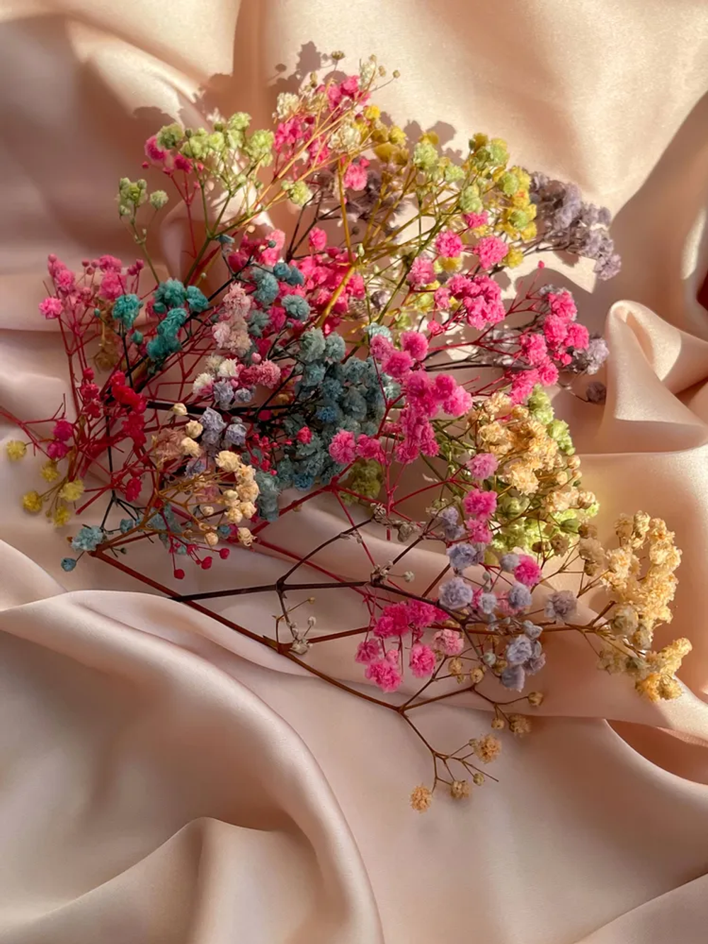 Сухоцветы Разноцветные