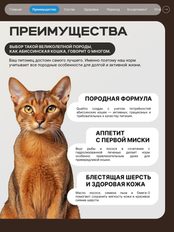 Корм сухой для взрослых кошек породы Абиссинская кошка, с лососем, 2 кг, QUATTRO