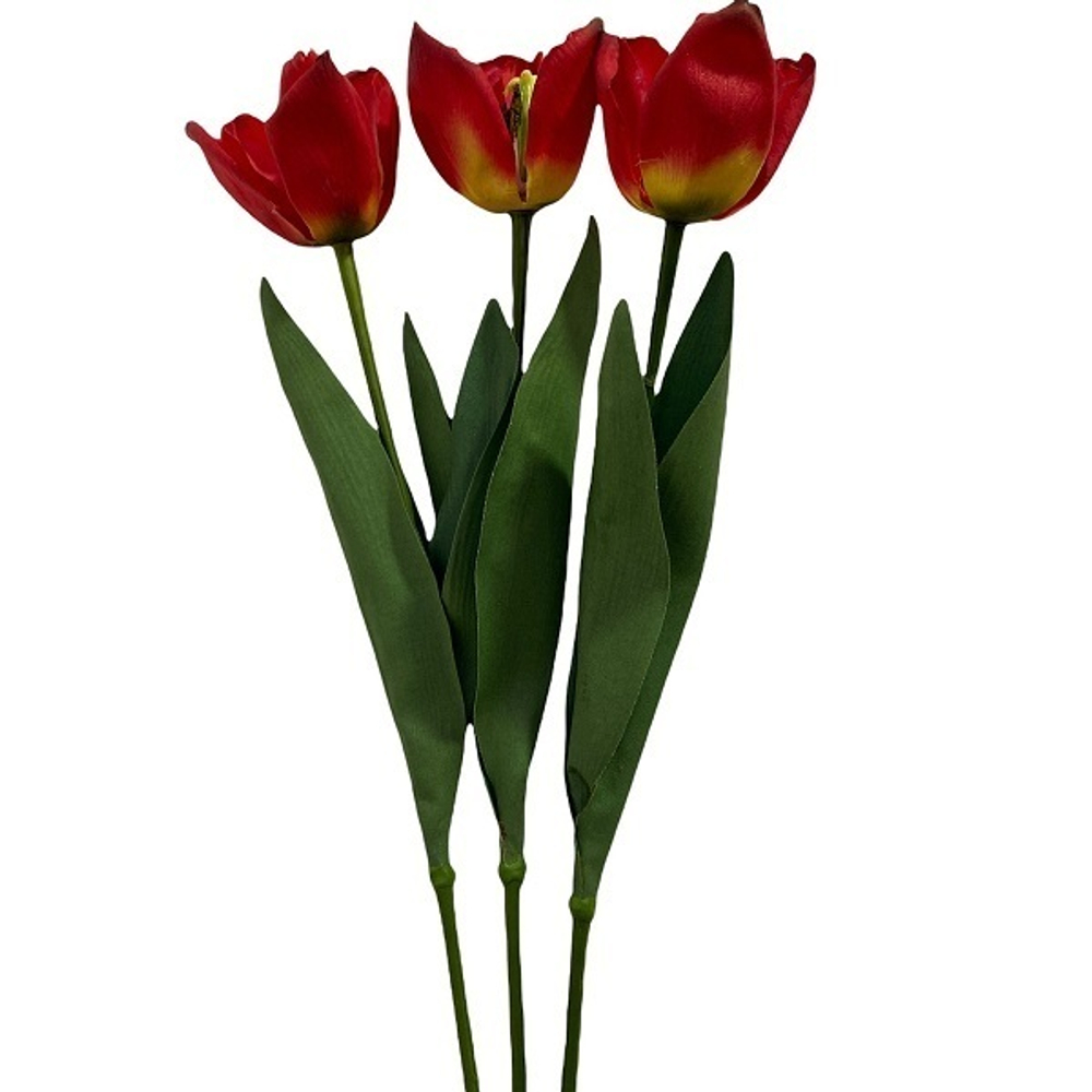 Тюльпан красный короткий [Арт. 91341]