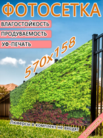 Фотосетка 570х158 светостойкая
