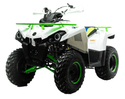 Квадроцикл MOTOLAND 200 Shark (2021 Г.)