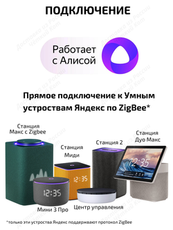Умный датчик протечки воды ZigBee Tuya для Алисы