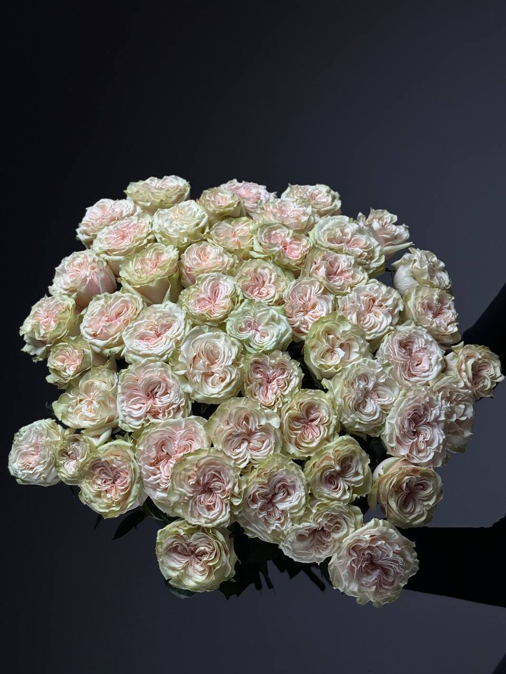Букет из 35 розово-зеленых пионовидных роз под ленту
