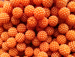 Бусины ягодные трансформеры (Оранжевый) - 10 шт