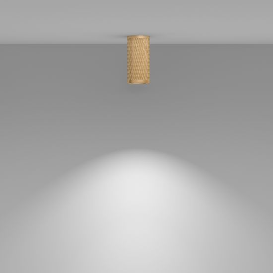 Потолочный светильник Technical C036CL-01G