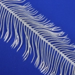 Ветка декоративная «Волшебное перо» 53 см, Белый