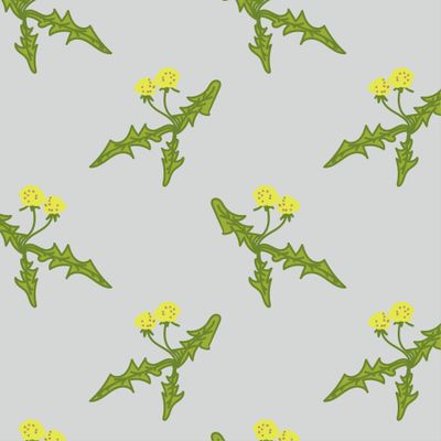 желтые одуванчики на сером фоне. Бесшовный цветочный паттерн одуванчики с листьями на сером фоне.