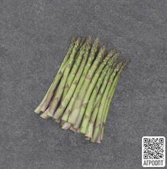 Кантикус F1 семена спаржи (Bejo / Бейо)