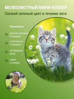 Газон - Микроклевер Евромик (50 гр)