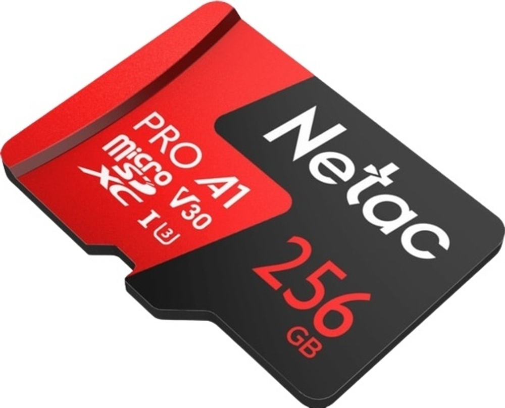 Карта памяти Netac P500 Extreme Pro NT02P500PRO-256G-R 256 Гб