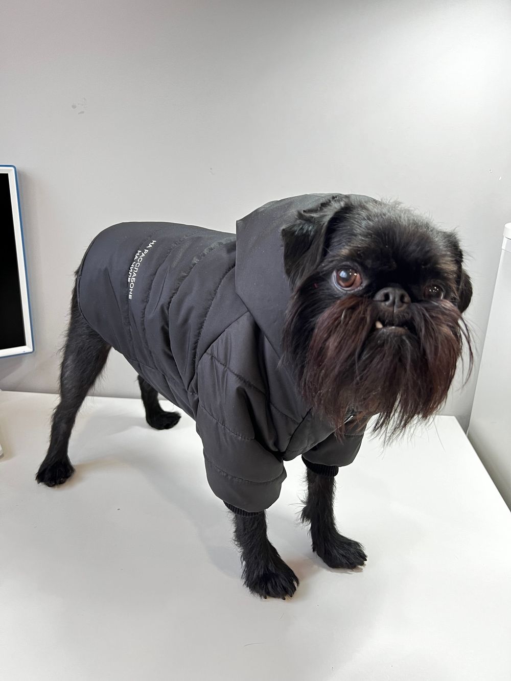 Куртка для собак с капюшоном, 32 см. (одежда для собак мелких, средних и крупных пород)