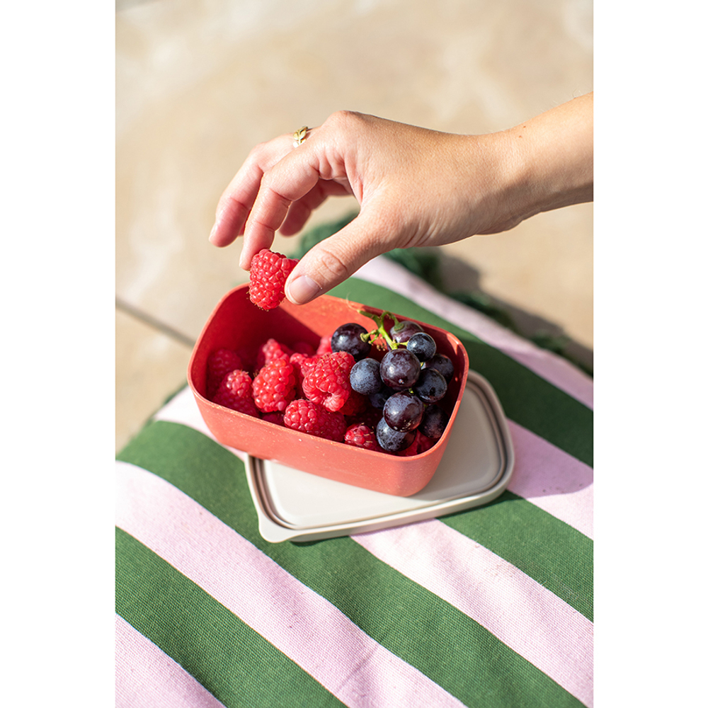 Ланч-бокс candy, organic, 12,4х5,3х8 см, песочный