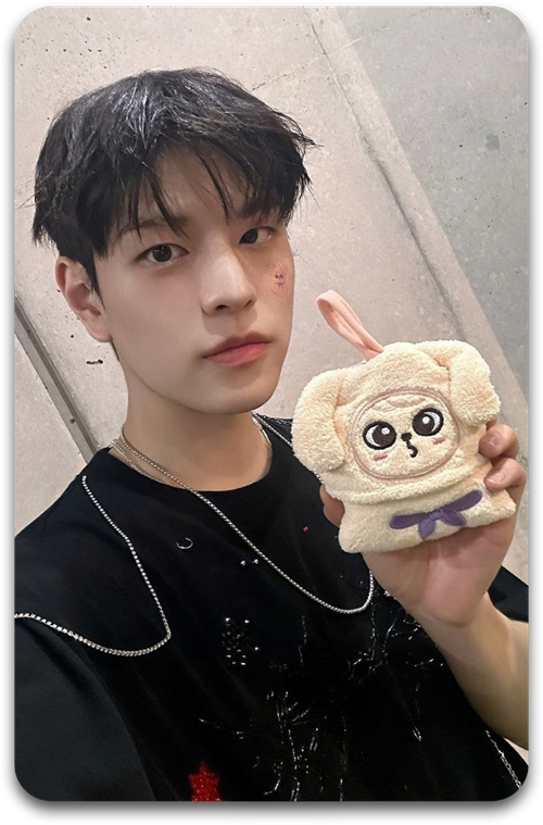 Карта / STRAY KIDS #3455