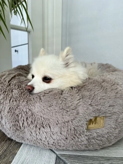 Лежанка для кошек лежак для собак домик