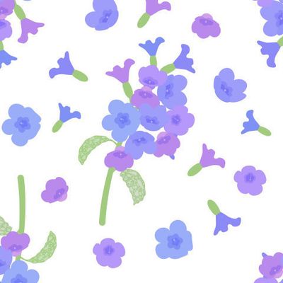 Цветы медуницы