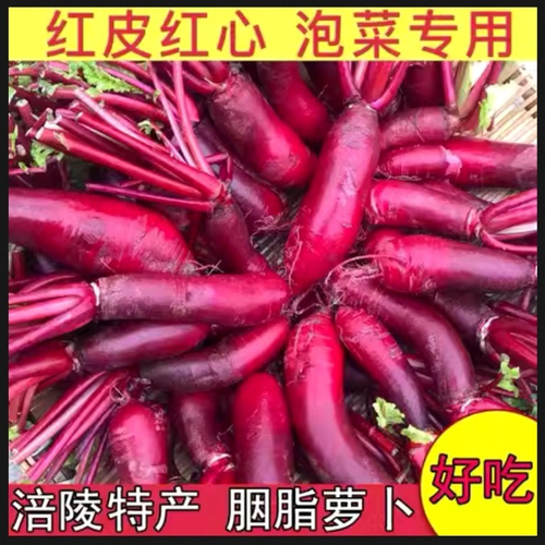 Сычуаньская красная редька лоба Фулин - 四川红心萝卜 - Sìchuān hóngxīn luóbo