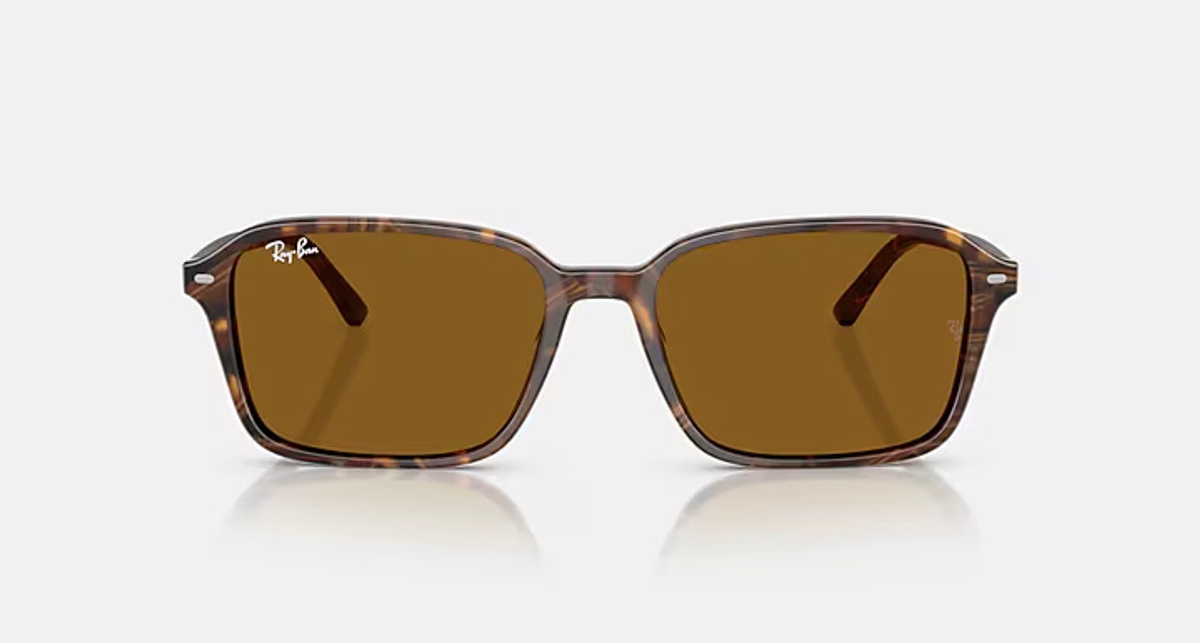 RAY-BAN RAIMOND RB2231 141833