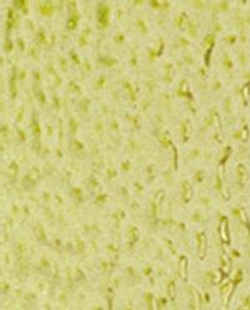 Zara Home Аромадиффузор Lime & Peppermint 435 мл, тростниковые палочки микадо, аромат свежий цитрусовый, Горчичный