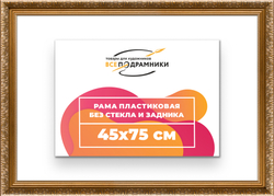 Рама 45x75 для картин и фотографий
