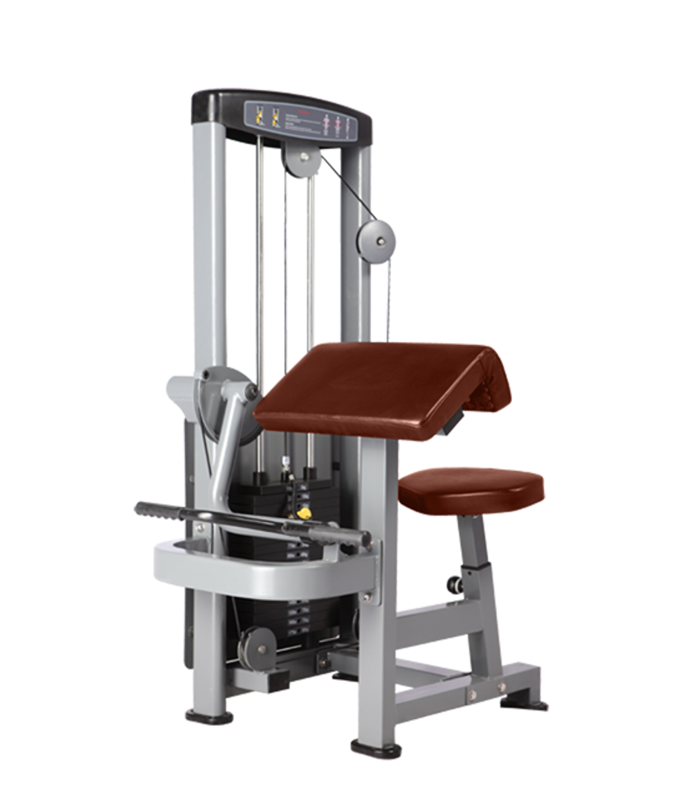 BRONZE GYM D-006 Бицепс-машина (КОРИЧНЕВЫЙ)