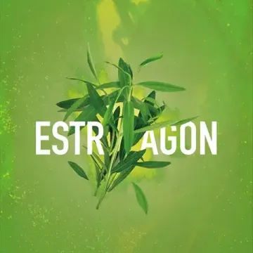 Must Have - Estragon (125г)
