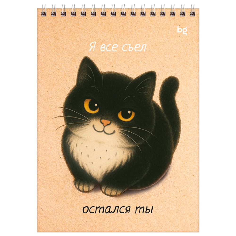 Блокнот  BG "Настроение - кот" на спирали, А5, 60 листов в клетку